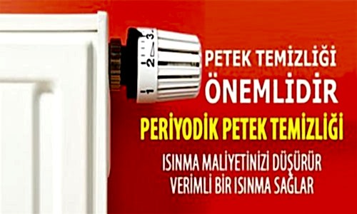 Petek Temizliği